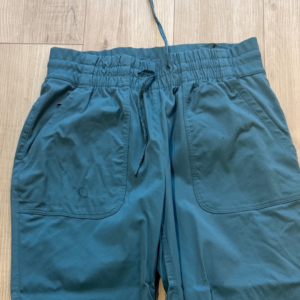 The north face teal hiking pants